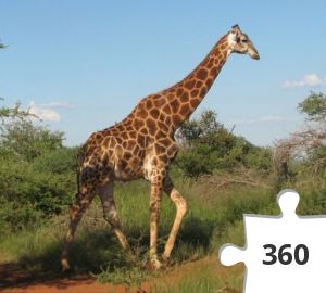 Jigsaw puzzle - Giraf