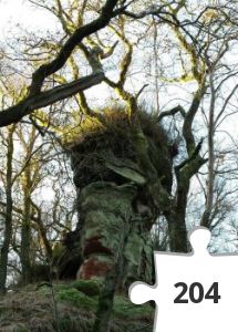 Jigsaw puzzle - Old Grumpy