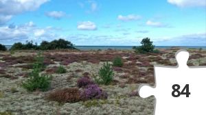 Jigsaw puzzle - Danzigmann