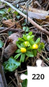 Jigsaw puzzle - Erantis