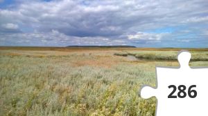 Jigsaw puzzle - Æbelø