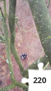 Jigsaw puzzle - Viborg