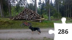 Jigsaw puzzle - Gribskov