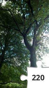 Jigsaw puzzle - Randers