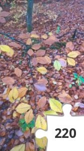 Jigsaw puzzle - Efterårsblade