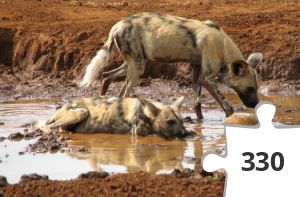 Jigsaw puzzle - Vilde hunde