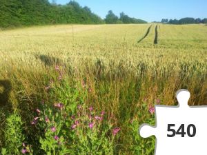 Jigsaw puzzle - Sommerstemning