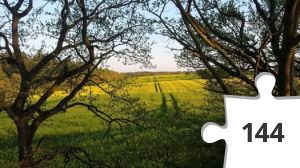 Jigsaw puzzle - Udsigt på Alhedestien