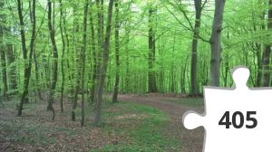 Jigsaw puzzle - Bøgeskov
