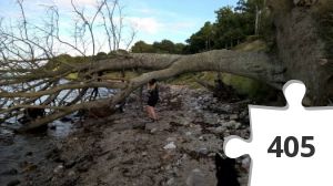 Jigsaw puzzle - Æbelø