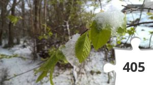 Jigsaw puzzle - Den sidste sne