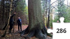 Jigsaw puzzle - Nordstjernen