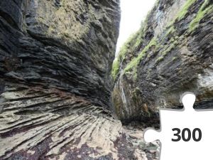 Jigsaw puzzle - Vejen til indgangen