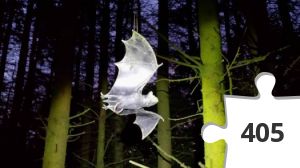 Jigsaw puzzle - Flagermus