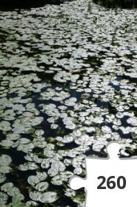 Jigsaw puzzle - Nyborg