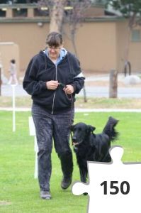 Jigsaw puzzle - Julie and Echo Rally Obedience