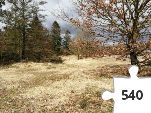 Jigsaw puzzle - 13 Hjerte-turen