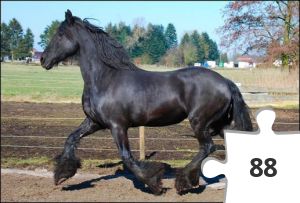 Jigsaw puzzle - #14 ZW FRL Puzzeltrail