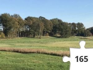 Jigsaw puzzle - puzzel 22 landschap