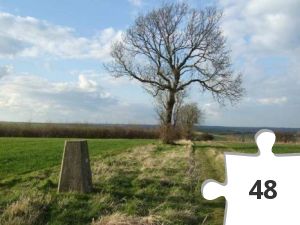 Jigsaw puzzle - Trigtastic #21 - Orwell