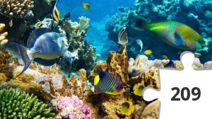 Jigsaw puzzle - Heal the World #62