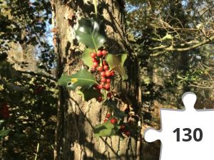 Jigsaw puzzle - puzzel 08 hulst met