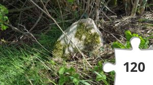 Jigsaw puzzle - Karantæneramt 4