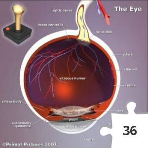 Jigsaw puzzle - The Eye