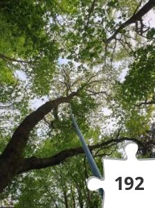 Jigsaw puzzle - 515151