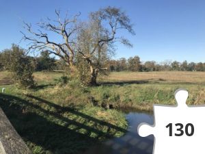 Jigsaw puzzle - puzzel 10 brug 2