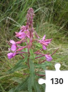 Jigsaw puzzle - puslerier 14