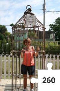 Jigsaw puzzle - IMG_2025.JPG