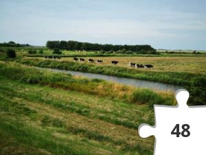 Jigsaw puzzle - 2019-07-20 11.23.35