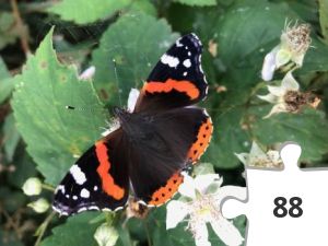 Jigsaw puzzle - DDVK 24