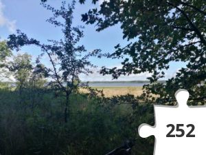 Jigsaw puzzle - 2019-09-07 11.01.28