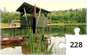 Jigsaw puzzle - Grzybiarz 37