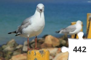 Jigsaw puzzle - kigger på fugle # 15