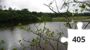 Jigsaw puzzle - 44 stjernen