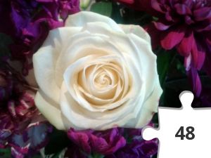 Jigsaw puzzle - Rose  (4)