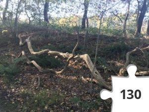 Jigsaw puzzle - puzzel 04 kunst of toch niet