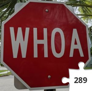 Jigsaw puzzle - IMG_20200112_131500