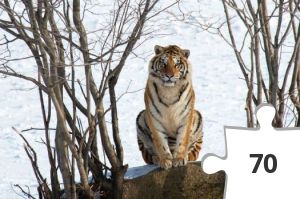 Jigsaw puzzle - Heal the World #30