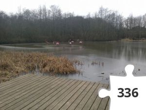 Jigsaw puzzle - sporet i varde 56