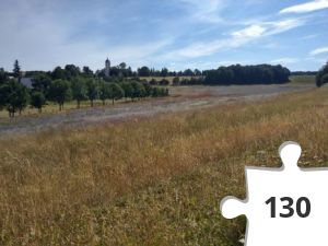 Jigsaw puzzle - IMAG0259