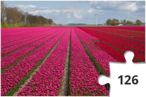 Jigsaw puzzle - TOF 2019