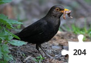 Jigsaw puzzle - kigger på fugle # 16