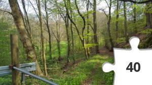 Jigsaw puzzle - Karantæneramt 19