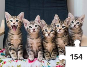 Jigsaw puzzle - All These Dog Themes and not One Kitty Pic?