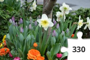 Jigsaw puzzle - Nr.22