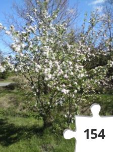 Jigsaw puzzle - puslerier 9